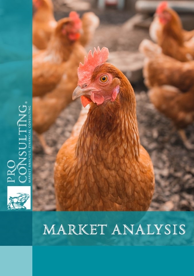 Analysis of the chicken meat market in Ukraine. 2021 year